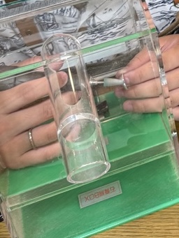 手作りペアリング|思い出になるのでおすすめです(1)